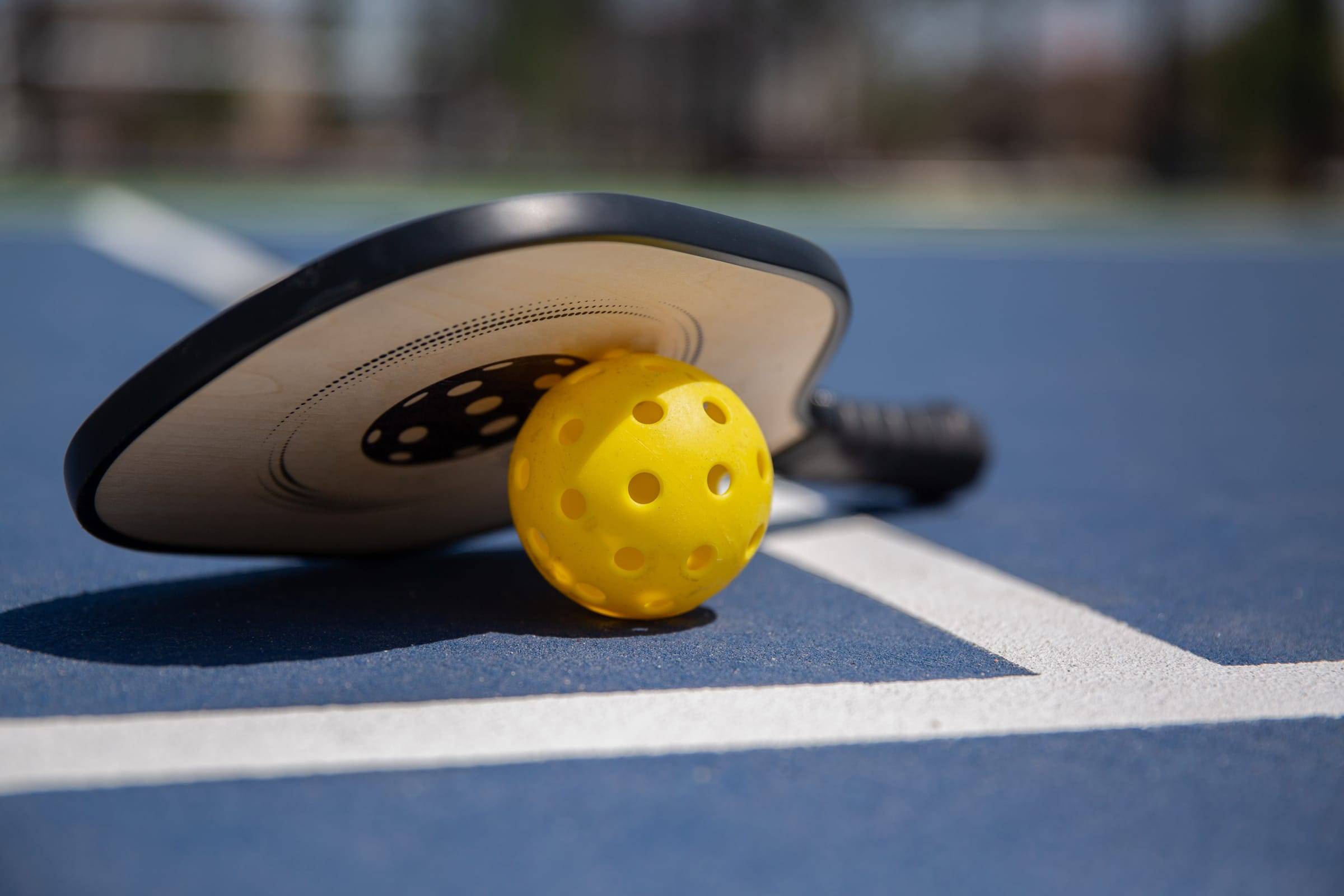 The Best Pickleball Training Equipment to Sharpen Your Game at Home hero image